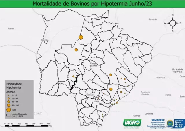 Hipotermia matou mais de 1 mil bovinos em MS nos últimos três dias