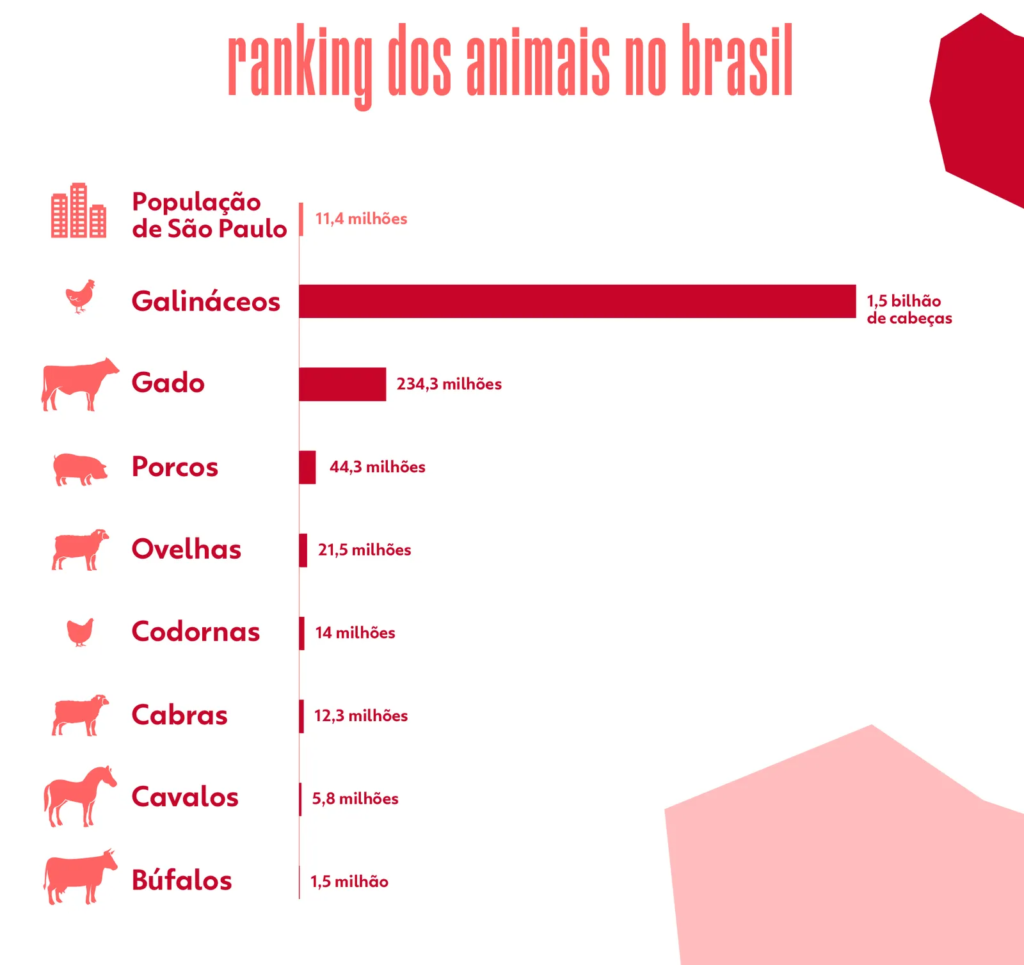 Sidrolândia tem a maior quantidade de animais para criação agrícola de MS, aponta IBGE