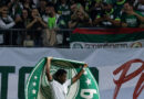 Palmeiras vence o Novorizontino e está na final do Paulistão contra o Santos