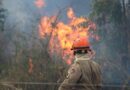Operação Pantanal: bombeiros de MS lutam para conter grandes chamas na região do Nabileque