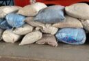 Carne de lhama e drogas são apreendidos nos bagageiros de ônibus em Corumbá