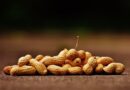 Amendoim: saiba quais são os benefícios para a saúde e aprenda 3 receitas fáceis
