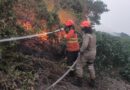 Incêndios florestais se intensificam em biomas de MS, na fronteira com a Bolívia combate continua