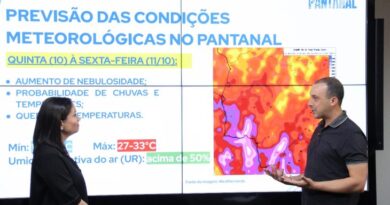 Chuva contribui para extinção de incêndios florestais, mas equipes continuam mobilizadas em todo MS