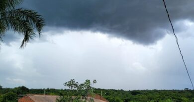 Distante apenas 84 km de Campo Grande, chácara está à venda em Jaraguari