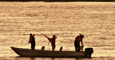 Vital para a reprodução dos peixes, piracema começa na sexta-feira na bacia do Rio Paraná