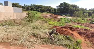 Corpo em decomposição é encontrado durante limpeza de terreno baldio