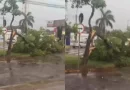 Problemas já conhecidos: chuva forte alaga bairros de Campo Grande