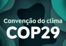 Ambientalistas dizem que acordo da COP29 é insuficiente