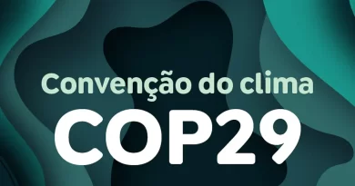 Ambientalistas dizem que acordo da COP29 é insuficiente