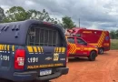 Traficante morre picado por abelhas ao tentar fugir da PRF em Nova Andradina