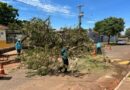 Prefeitura atua para atender população e mitigar danos causados pelas chuvas em Campo Grande