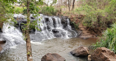 Construção do Parque Municipal Cachoeira do Céuzinho recebe licença ambiental