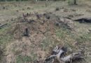 Incêndios no Pantanal entram na mira do MPMS, que apura a responsabilidade e busca a recuperação 
