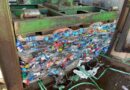 Ceasa de Mato Grosso do Sul reciclou 662 toneladas de resíduos entre janeiro e maio de 2025