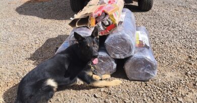 Choque apreende quase 170 kg de maconha em transportadora no bairro Coronel Antonino