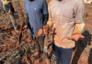 Trabalhadores são resgatados de fazenda em MS onde não tinham dormitório, cozinha e nem banheiro