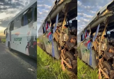 Morre segunda passageira de ônibus que bateu na traseira de bitrem na BR-267