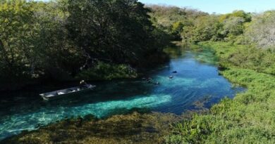 Quer trabalhar no Parque da Serra da Bodoquena? ICMBio está com três editais abertos