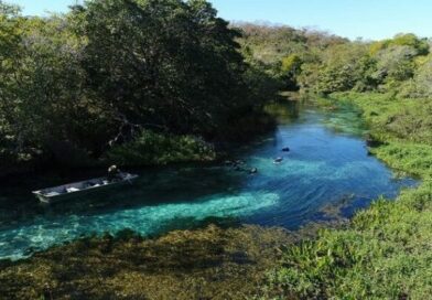 Quer trabalhar no Parque da Serra da Bodoquena? ICMBio está com três editais abertos