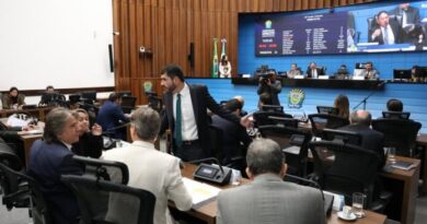 Ordem do Dia: Diretrizes de incentivo à proteção às mães atípicas vai a redação final