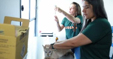 Consultório Móvel da Subea leva atendimento veterinário gratuito ao Jardim Noroeste a partir de segunda-feira