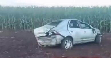 Vídeo: PRF apreende mais de 650 kg de maconha após capotamento de veículo na BR-267