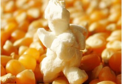 Anvisa manda recolher milho para pipoca e proíbe venda de suplementos alimentares
