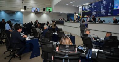 Vereadores aprovam projetos sobre habitação, empreendedorismo feminino e agricultura familiar