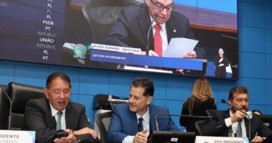 Ordem do Dia: Aprovados projetos que visam ao enfrentamento da violência contra crianças e mulheres