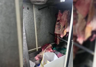 Açougues são flagrados com quase meia tonelada de carne imprópria para consumo