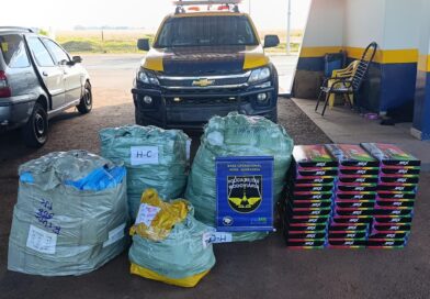 Polícia apreende mais de R$ 48 mil em mercadorias irregulares na MS-134