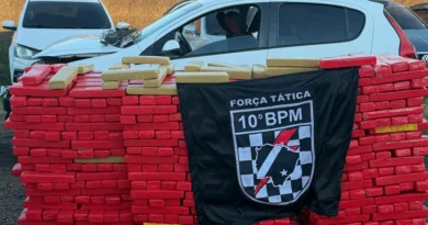 Polícia apreende carro com mais de 1 tonelada de maconha após bater em árvore