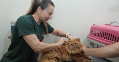 Lei amplia acesso ao consultório veterinário móvel e ajuda Campo Grande a cumprir meta de castrações