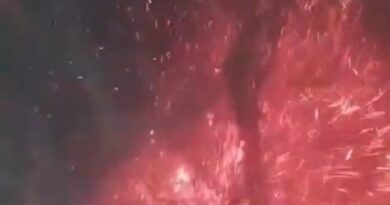 Com calor e seca, Corumbá registra 11 incêndios em vegetação em 72 horas