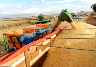 Veículo movido exclusivamente a etanol pode beneficiar cadeia produtiva do milho