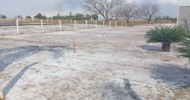 Vídeo mostra temporal com granizo atingindo o Distrito Pana, em Nova Alvorada do Sul