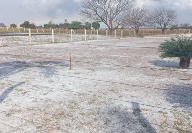 Vídeo mostra temporal com granizo atingindo o Distrito Pana, em Nova Alvorada do Sul