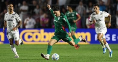 Palmeiras segura empate com o Santos e vai às semifinais da Copa do Brasil