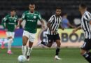 Botafogo segura Palmeiras e ajuda Flamengo, novo líder do Brasileirão