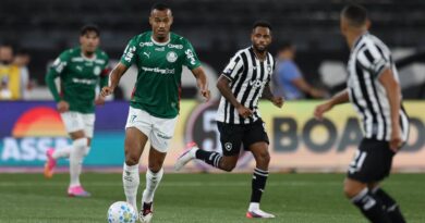 Botafogo segura Palmeiras e ajuda Flamengo, novo líder do Brasileirão
