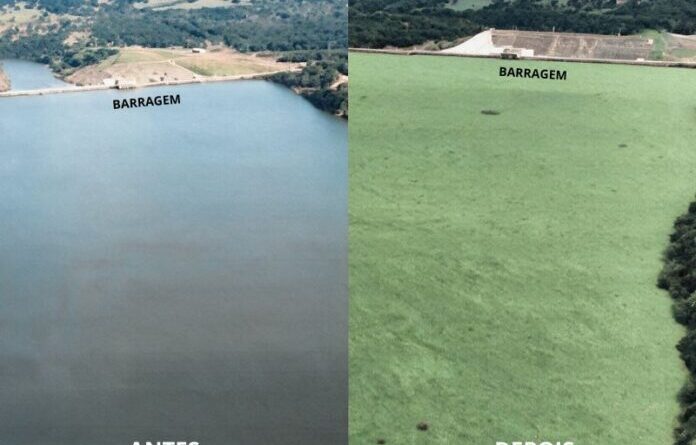 Justiça determina contenção imediata de plantas aquáticas no Rio Pardo e responsabiliza usina