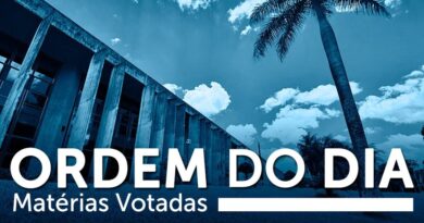 Ordem do Dia: Aprovados projetos sobre consumo, habitação e proteção às mulheres