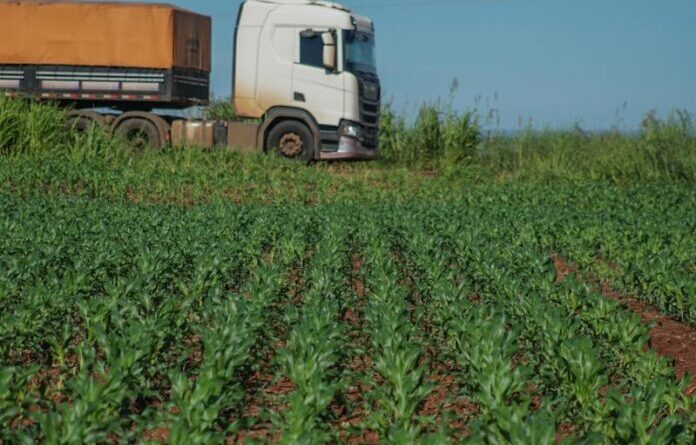 Produzir um hectare de soja na safra 2026/2027 custa mais de R$ 5 mil, aponta estudo da Aprosoja/MS