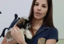 Influencer que chutou filhote de shih-tzu e postou na rede social vai continuar presa; delegada celebra resultado