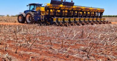 FCO aprova mais R$ 100 milhões para impulsionar investimentos em 33 municípios de MS