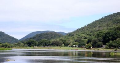 Com chuva e temperatura acima da média, El Niño pode causar onda de calor em MS