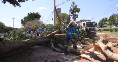 União libera quase R$ 500 mil para Campo Grande reparar estragos da tempestade de setembro