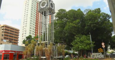 Manutenção flagra jardins destruídos na 14 de Julho