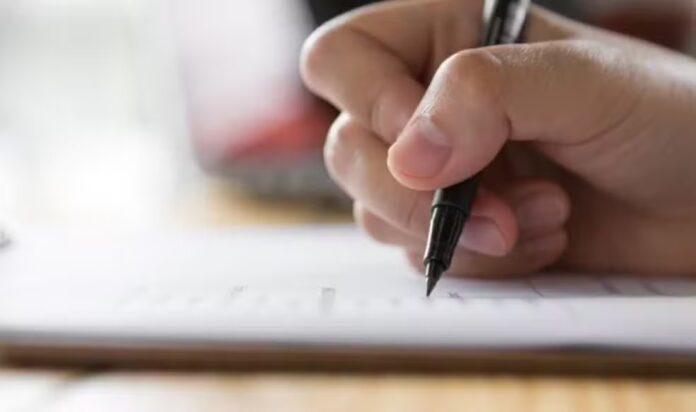Semana tem 10 editais abertos entre processos seletivos e estágios; confira a lista!